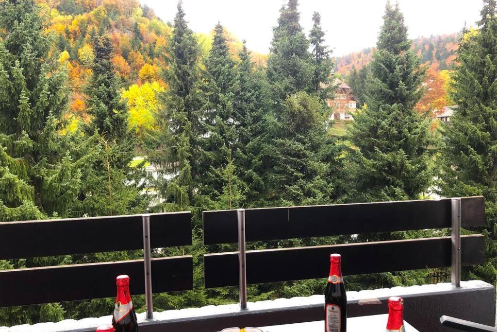 Ferienwohnung Schwarzwald 토트무스 외부 사진