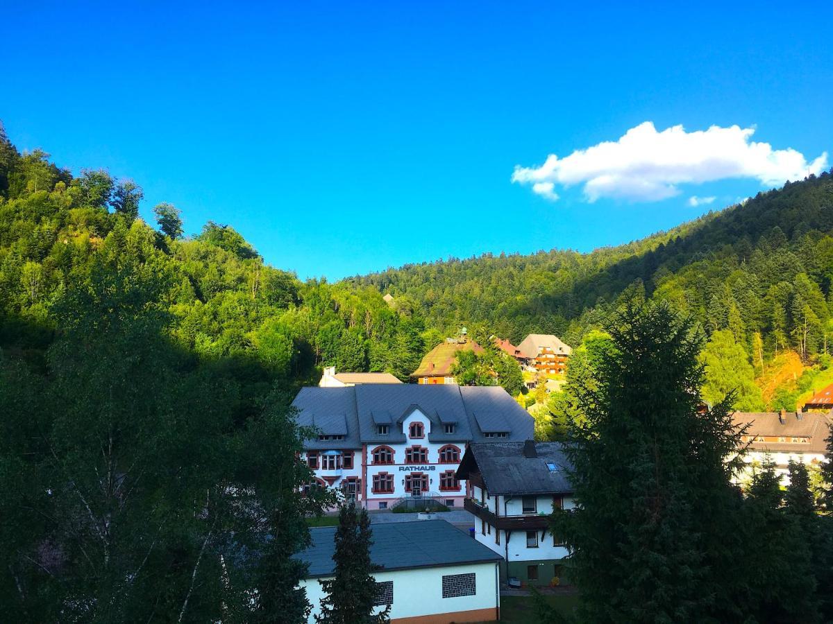 Ferienwohnung Schwarzwald 토트무스 외부 사진