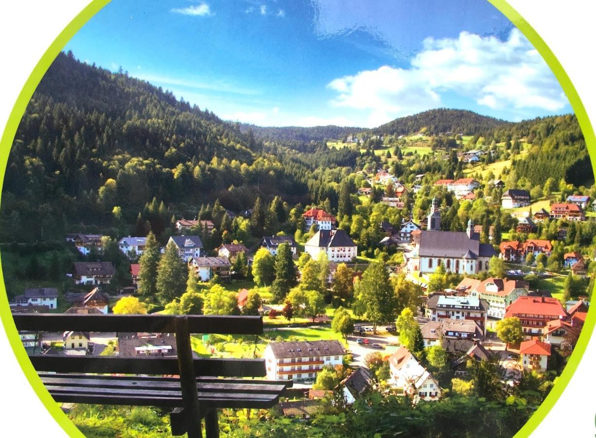 Ferienwohnung Schwarzwald 토트무스 외부 사진